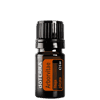 Arborvitae